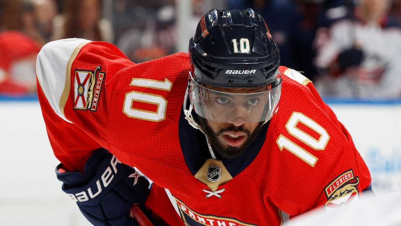 Anthony Duclair Suffers Achilles Injury