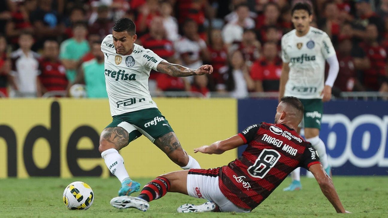 Palmeiras é 3º clube brasileiro a jogar todos os jogos de uma temporada -  02/02/2021 - UOL Esporte