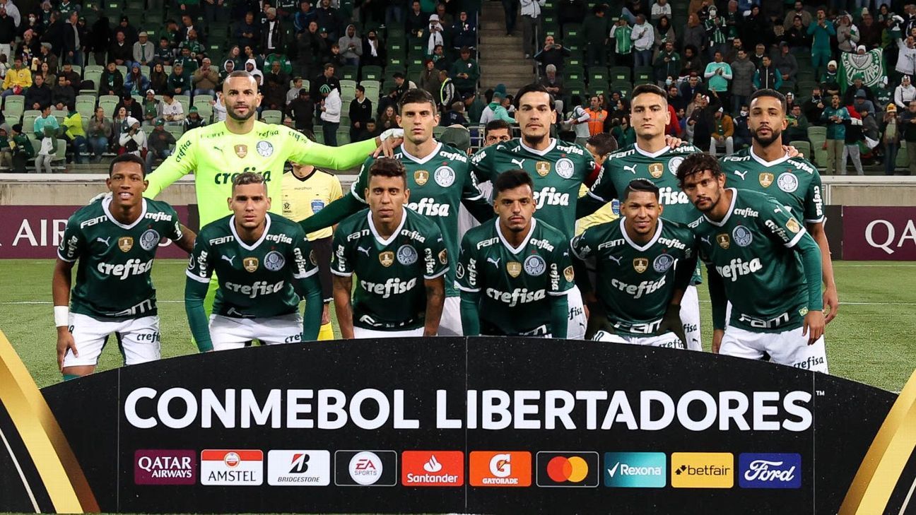 🇧🇷🐷 Pela 2⃣0⃣ª vez, o SE Palmeiras - CONMEBOL Libertadores