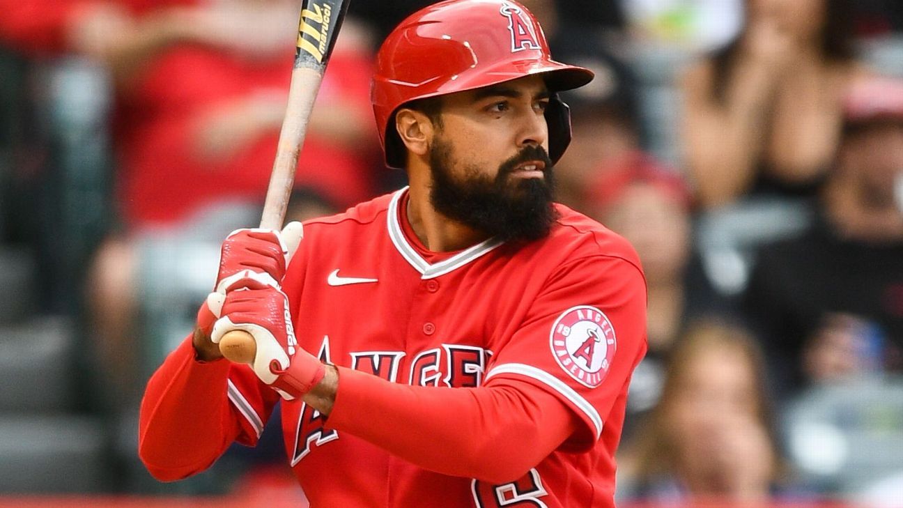 MLB investigating video showing Angels' Anthony Rendon grabbing fan by the  shirt