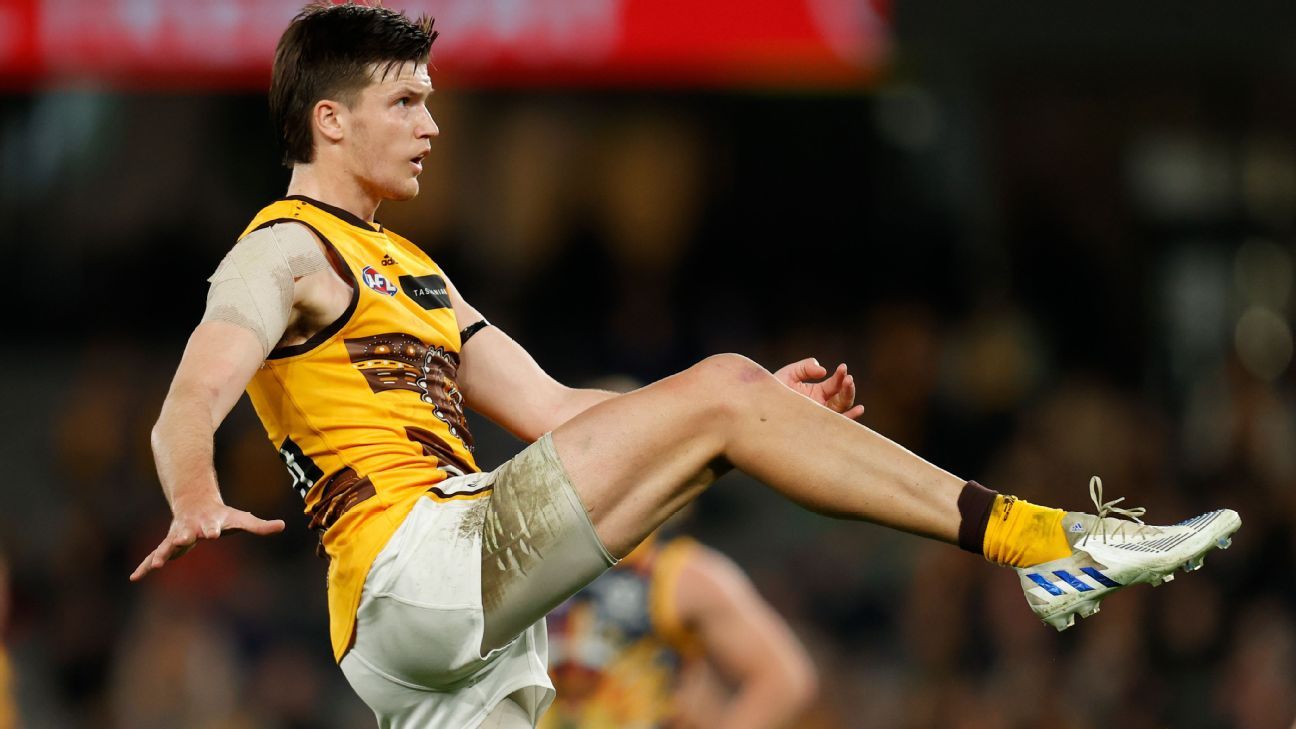 AFL Mitch Lewis stars in Hawthorn Hawks
