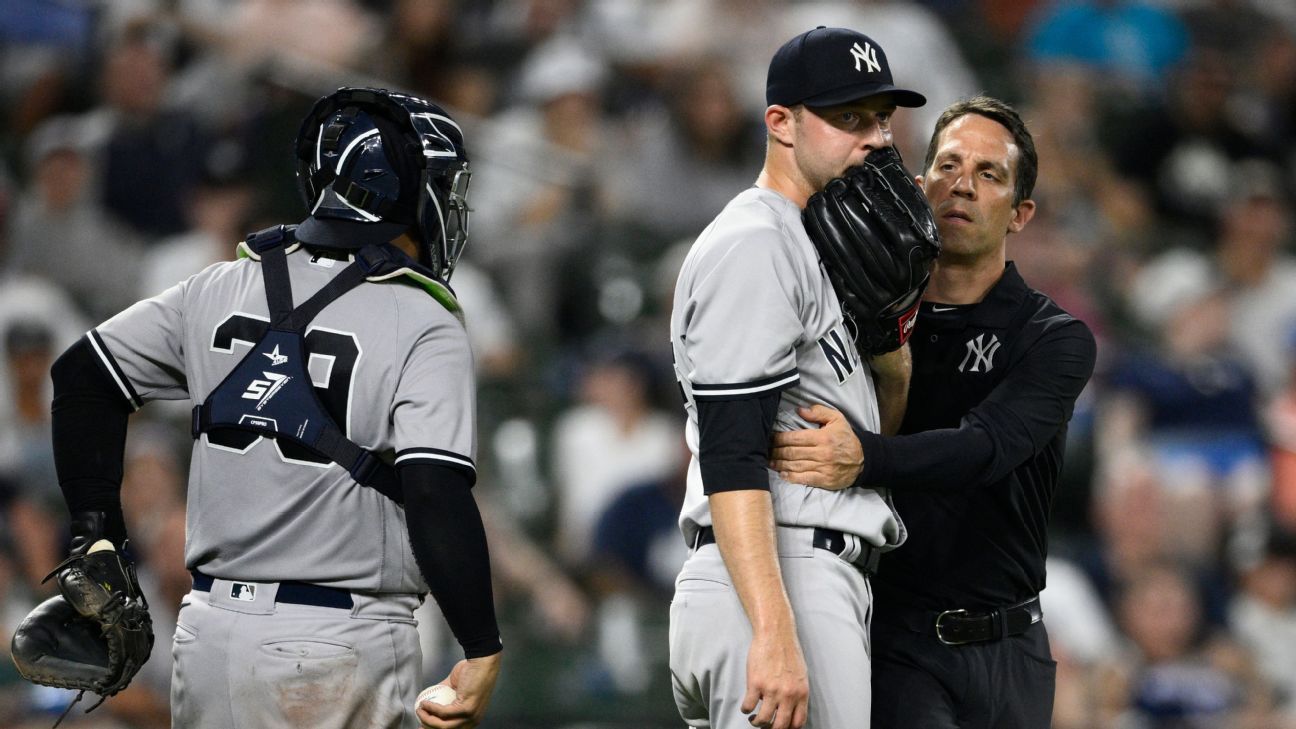 New York Yankees reliever Michael King out for season after injuring elbow, sour..