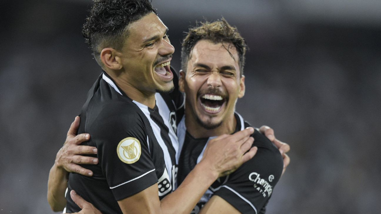 Botafogo vence o Coritiba em casa e dorme na parte de cima da tabela do  Brasileir&Atilde;&pound;o