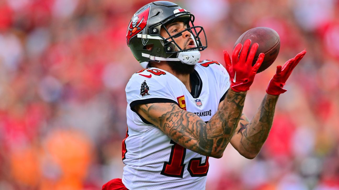 Former Buccaneer Believes Mike Evans Should Play for Detroit Lions, Buccaneers