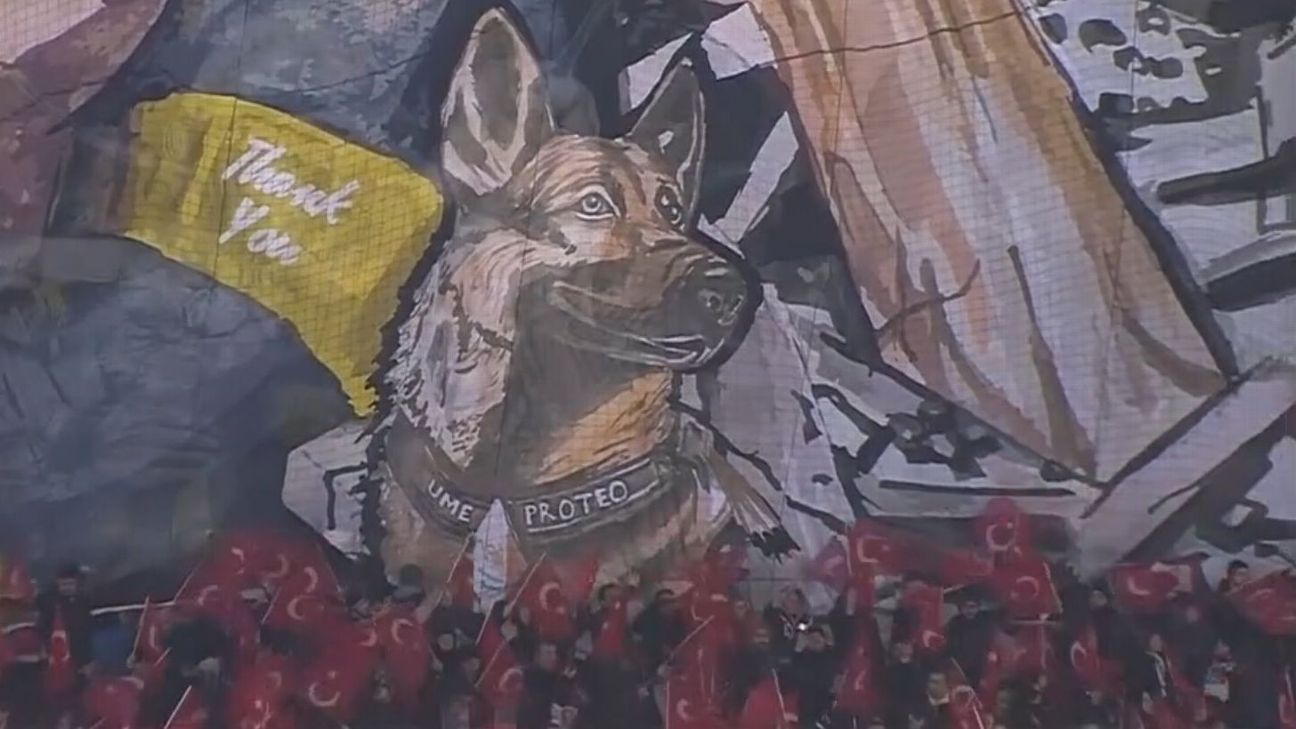 Fans in Turkey pay tribute to Proteus, a dog who died in rescue efforts