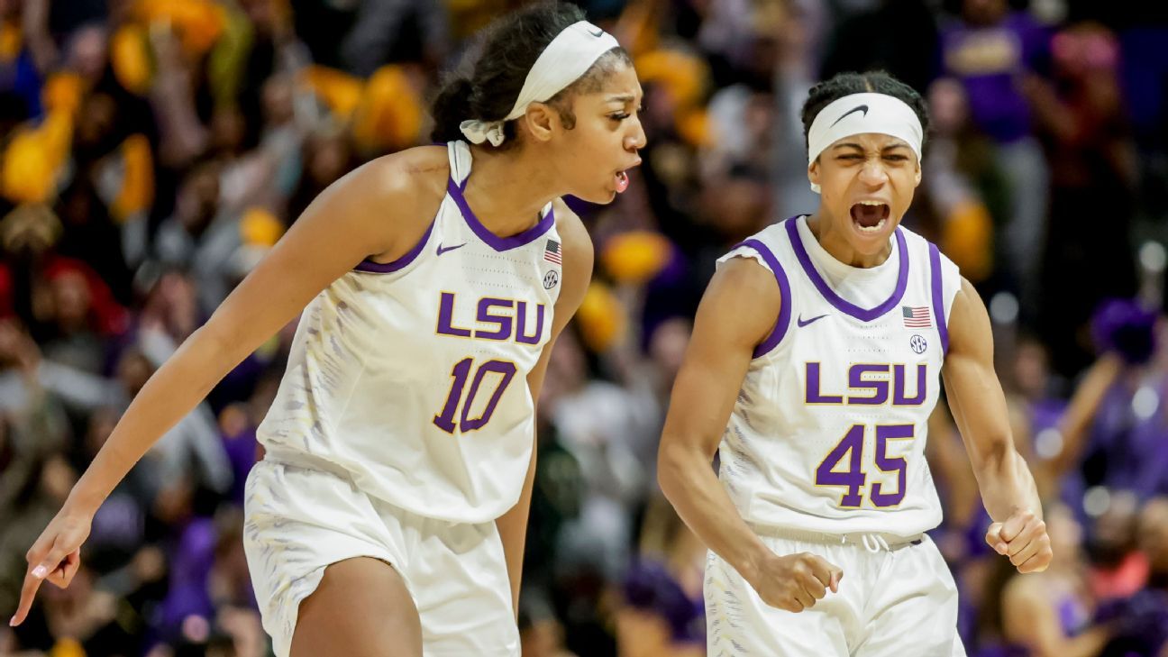 NCAA women's basketball transfer portal: How did LSU, South Carolina and  Louisville fare? - The Athletic