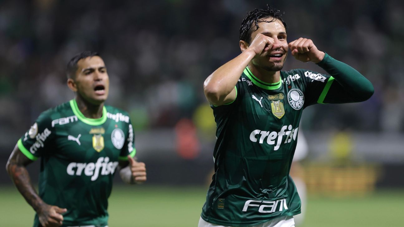 Palmeiras busca local definitivo para realização do clássico contra o Corinthians