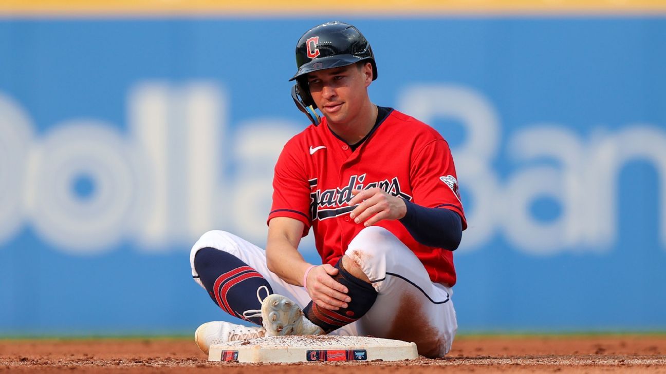 Zac Gallen kills bird with warm-up pitch like Randy Johnson