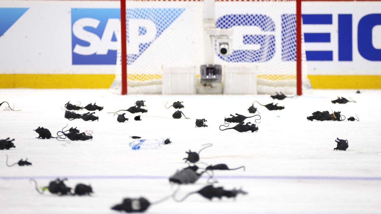 Panthers get two minor penalties for rats thrown on the ice