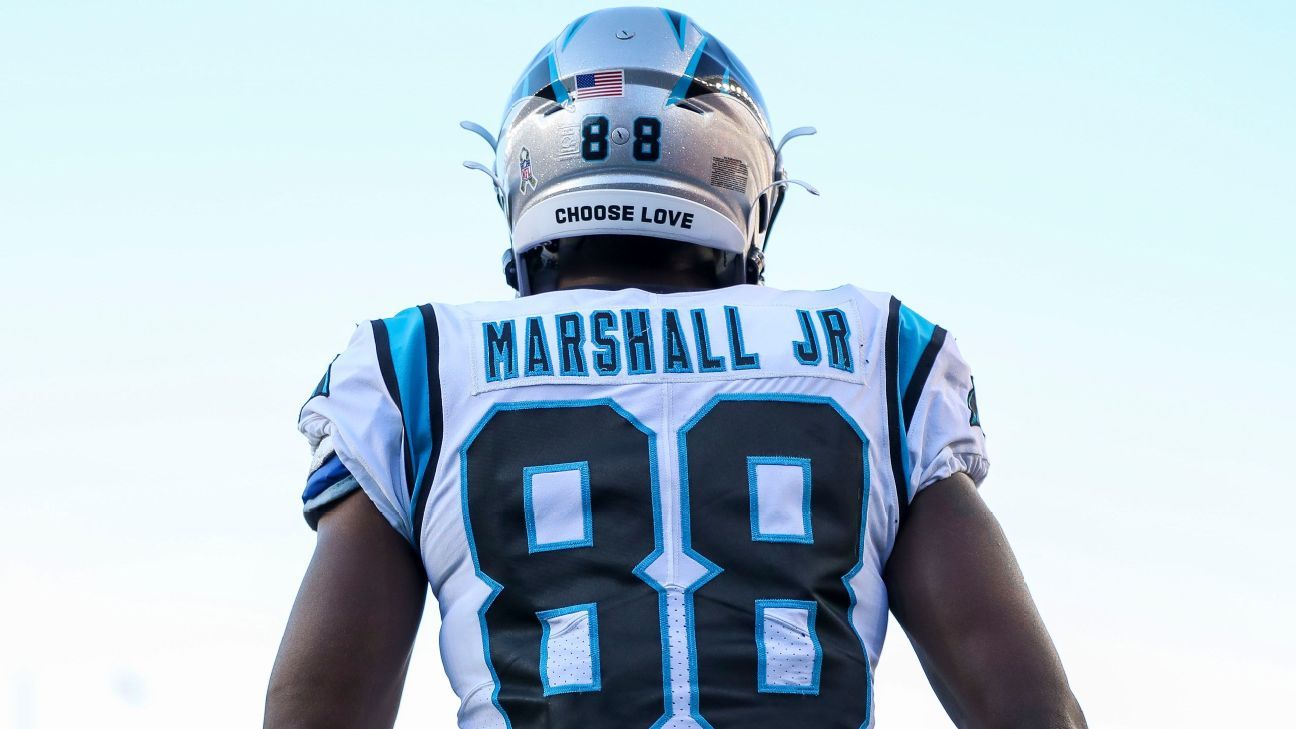 Deep fantasy football sleepers - Terrace Marshall Jr. among