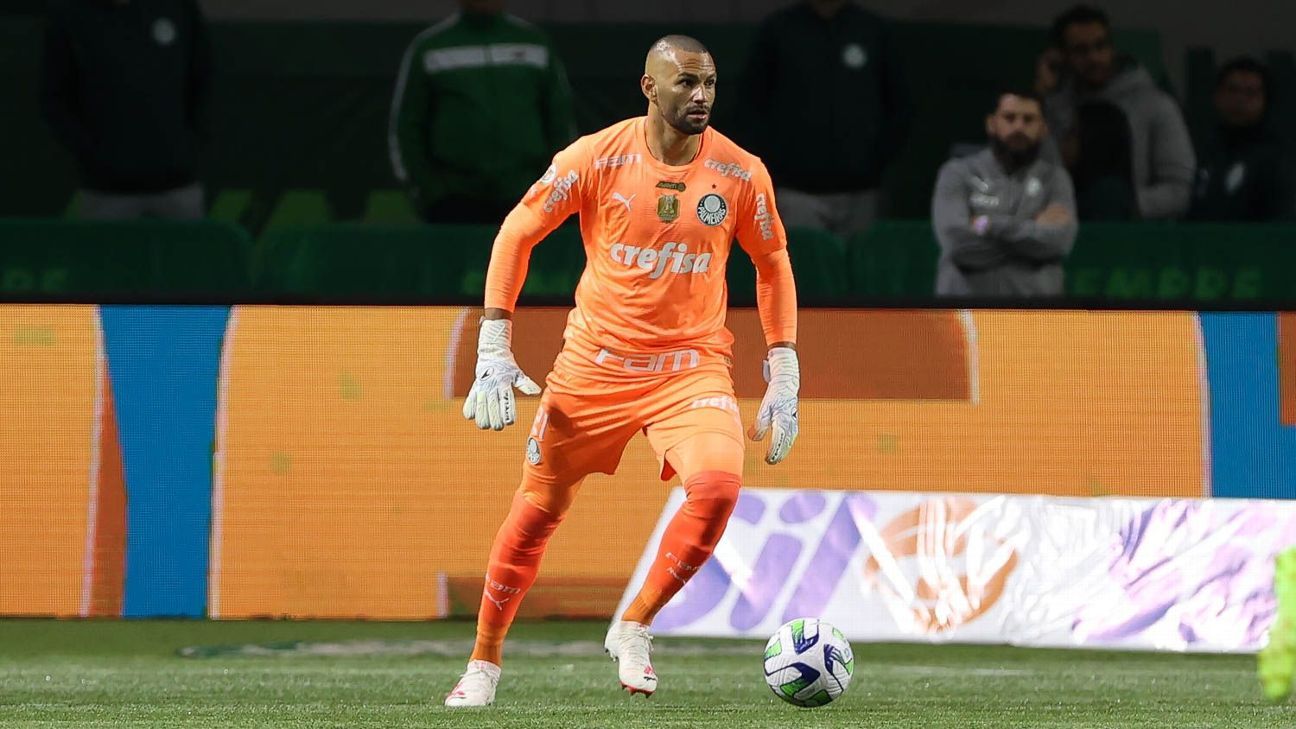Weverton, do Palmeiras, passa em exame teórico para se tornar piloto de avião