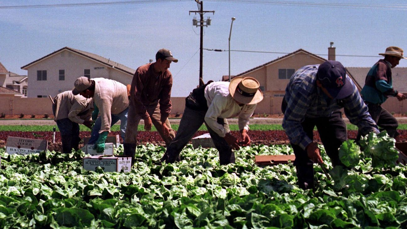 Boxer Jose Ramirez Donating COVID-19 Supplies To Immigrant Field Workers