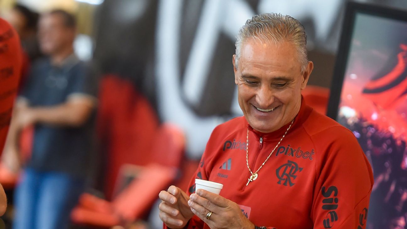 Emerson Sheik diz por que Tite e Flamengo será casamento perfeito: Chega para resolver o problema