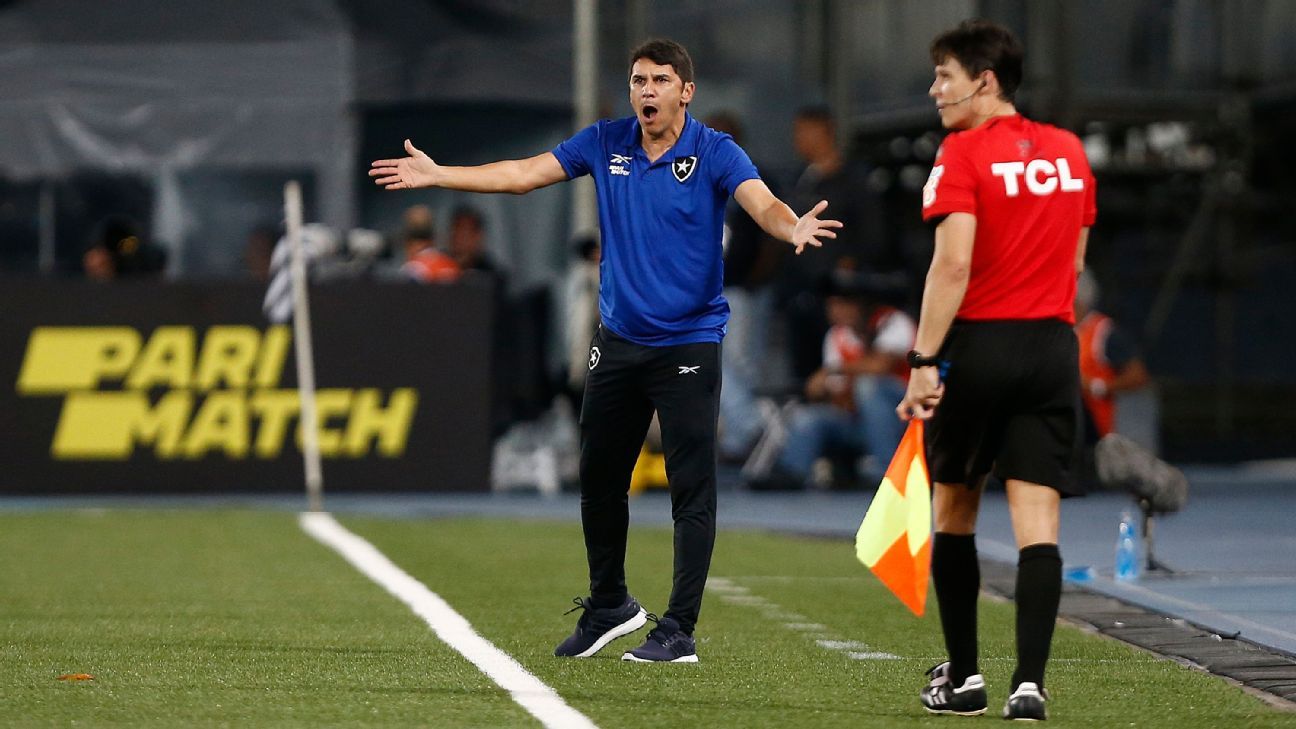 Lúcio Flávio lamenta derrota após 1º tempo do Botafogo: 'Poderia ter sido 5' - ESPN