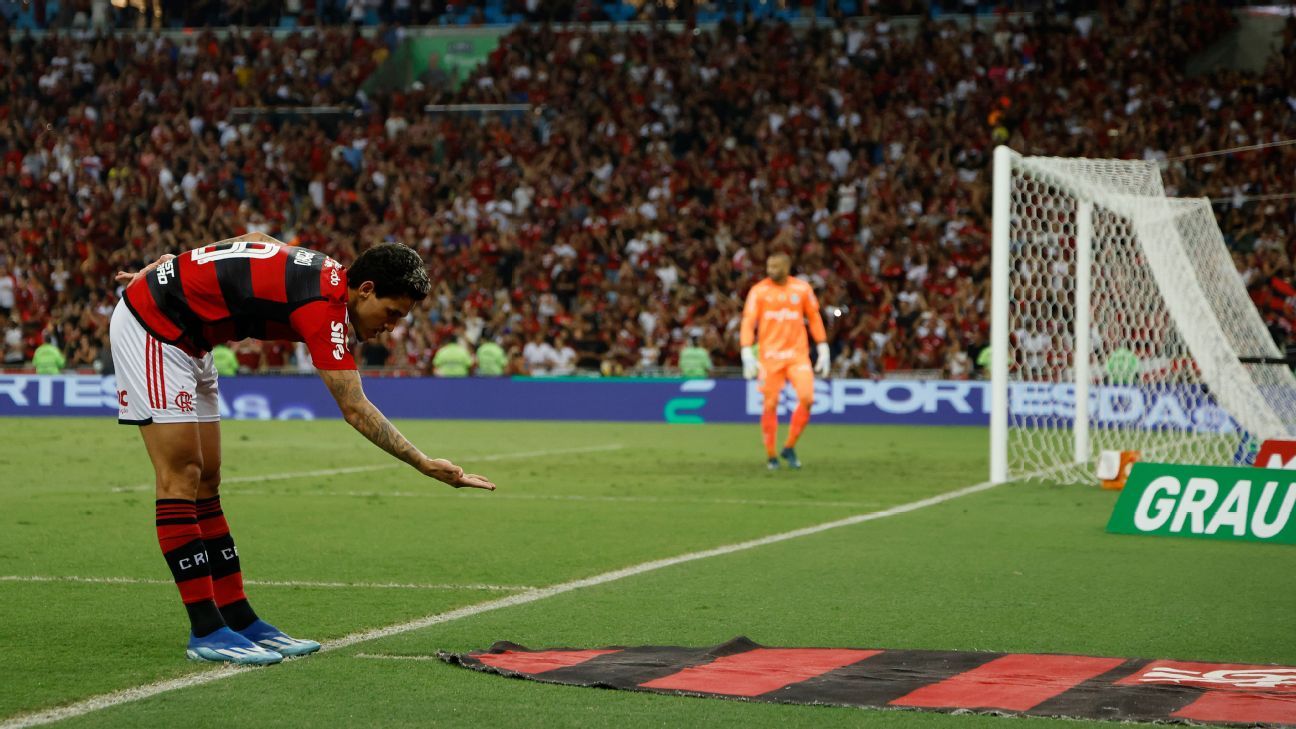 Com dois de Pedro, Flamengo bate o Palmeiras no Maracanã e entra de vez na  briga pelo título do Brasileirão