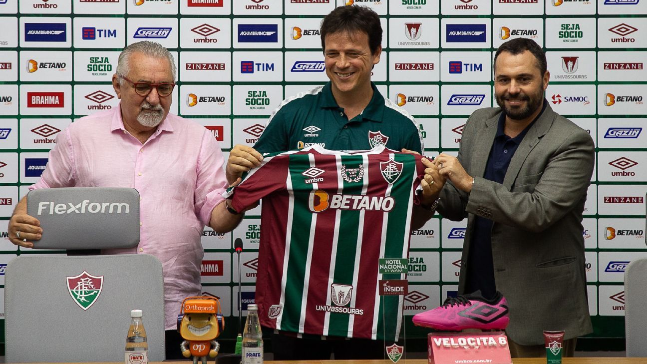 Diretor Do Fluminense Revela Preocupação Com Diniz Na Seleção