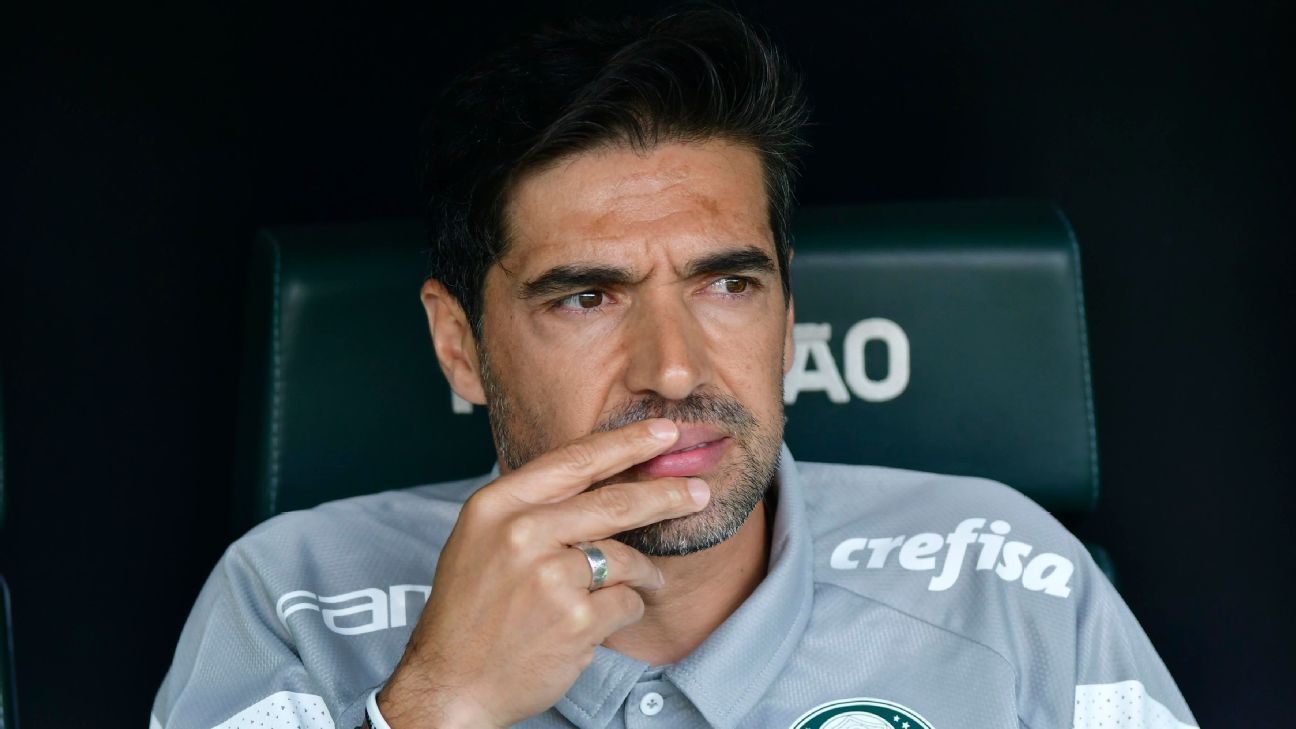 Abel, é importante manter a compostura para o bem do futebol brasileiro