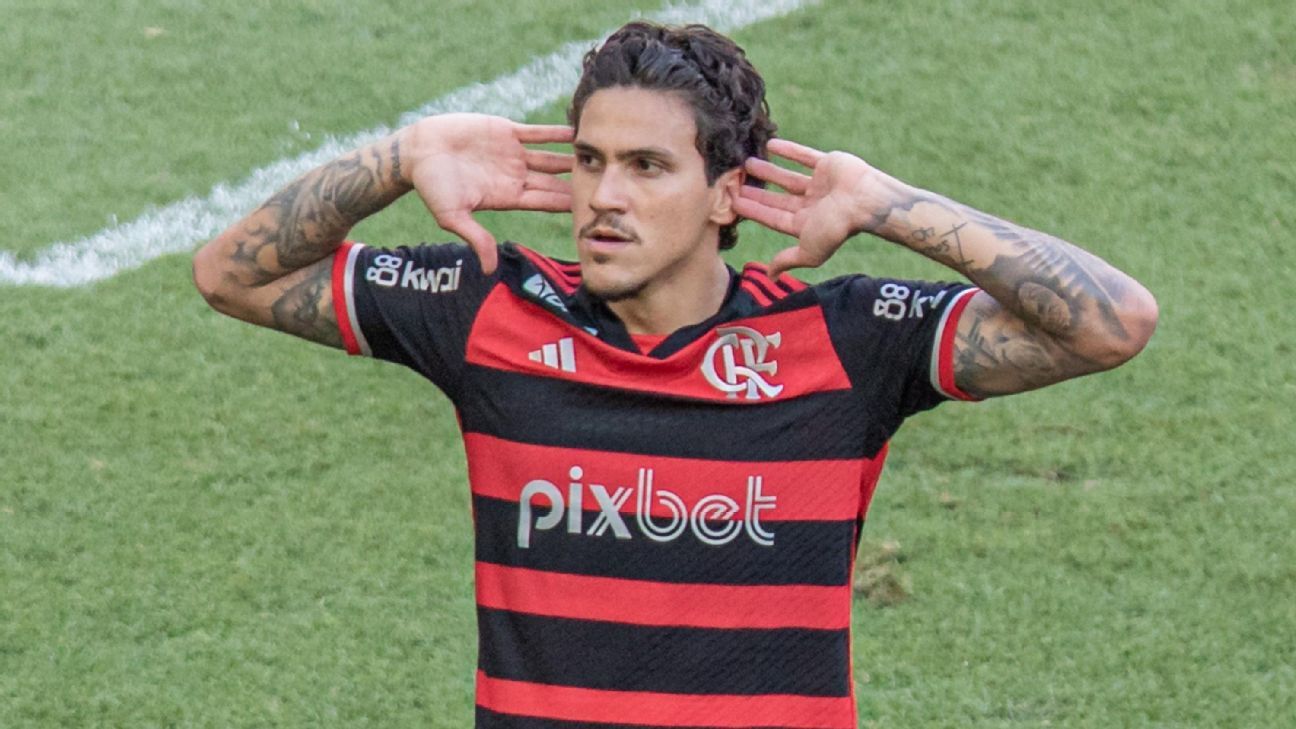 Expectativas para o Grupo do Flamengo na Libertadores: Rivais, Tabela e Datas.