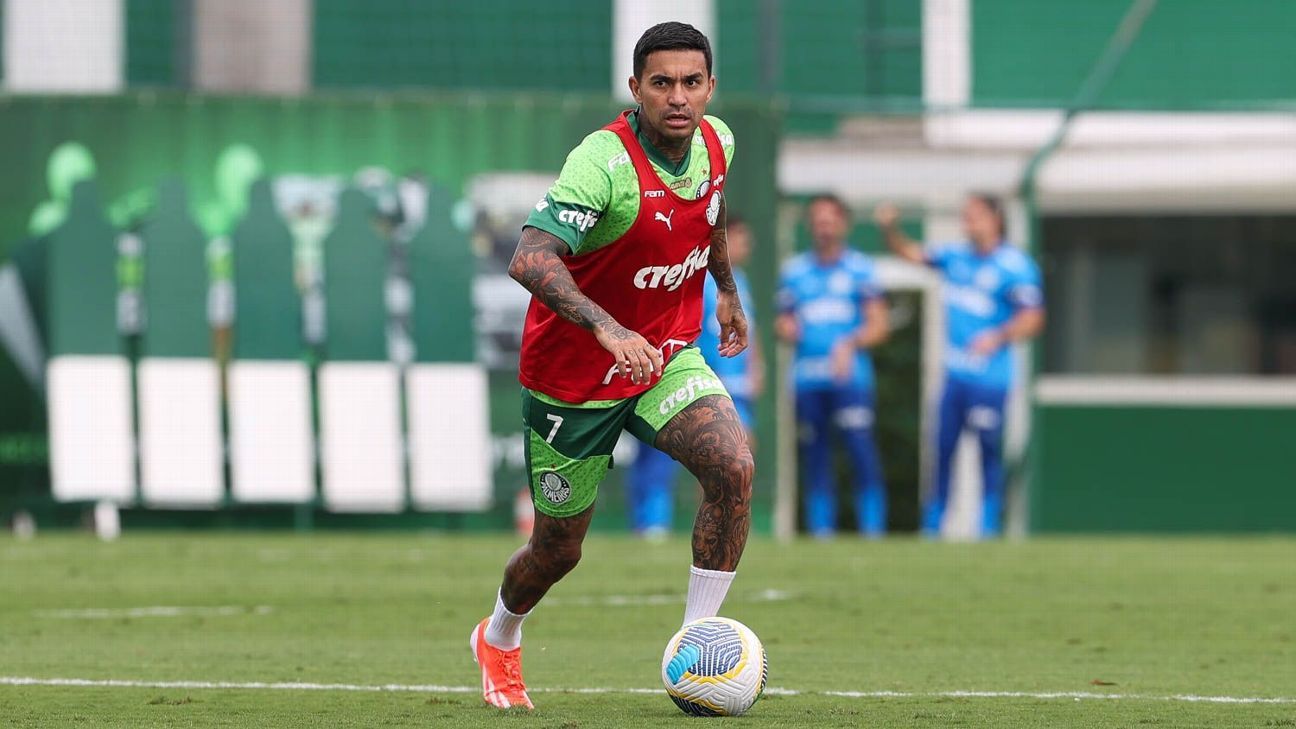 Dudu avança em recuperação e inicia penúltima fase de tratamento no Palmeiras.