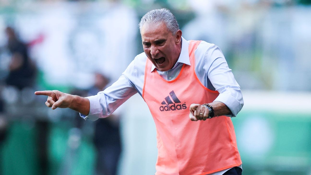 Tite: repudia ato de cusparada de torcedor durante Palmeiras x Flamengo.