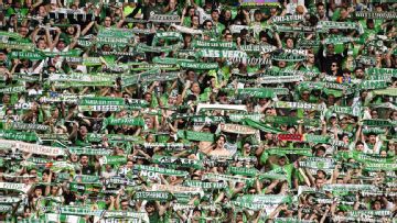 Saint-Etienne set for purchase by Toronto Raptors, Maple Leafs owners