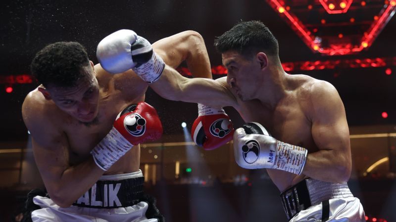 Dmitry Bivol submitted Malik Zinat via TKO