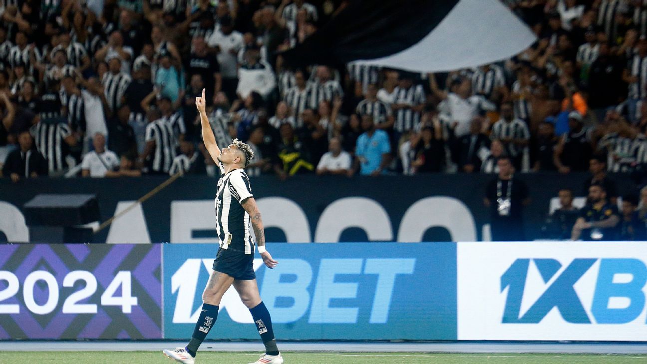 botafogo derrota palmeiras e amplia liderança no brasileirão após 