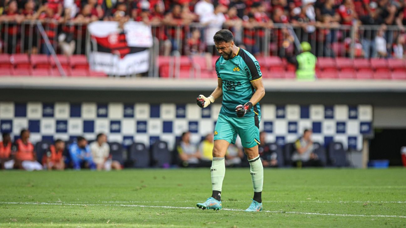 Goleiro do Criciúma concorda com marcação de pênalti a favor do Flamengo