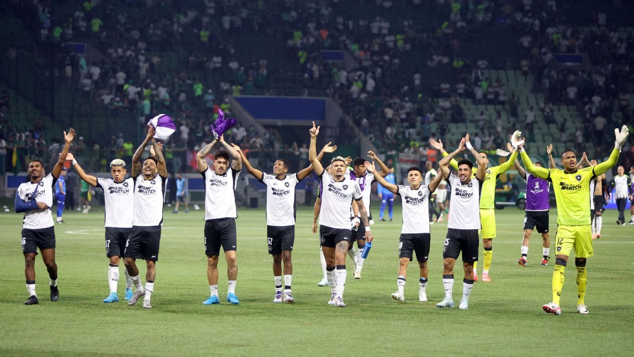 Desabafo de Tiquinho após Botafogo eliminar Palmeiras na Libertadores: 