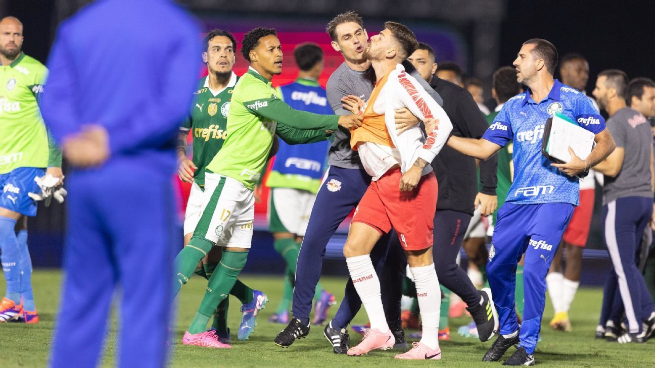 Confusão e expulsões marcam jogo entre Palmeiras e Bragantino no Campeonato Brasileiro.