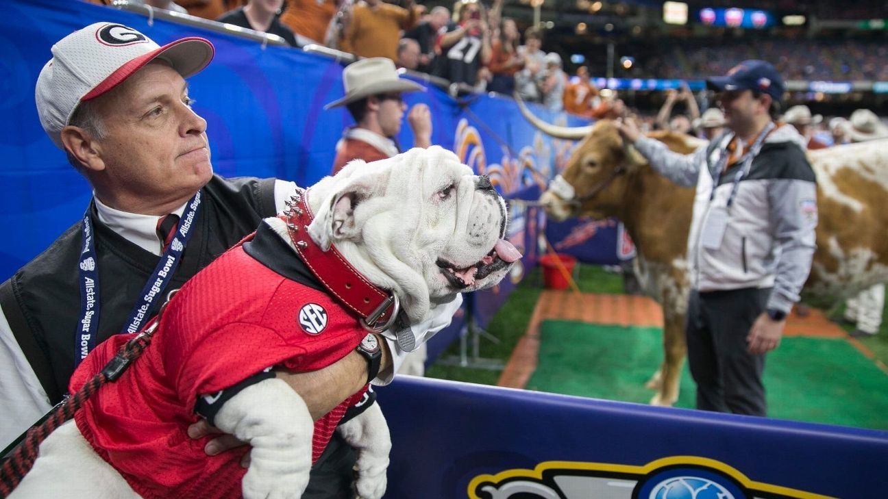 Georgia's Uga stays home; no rematch with Bevo