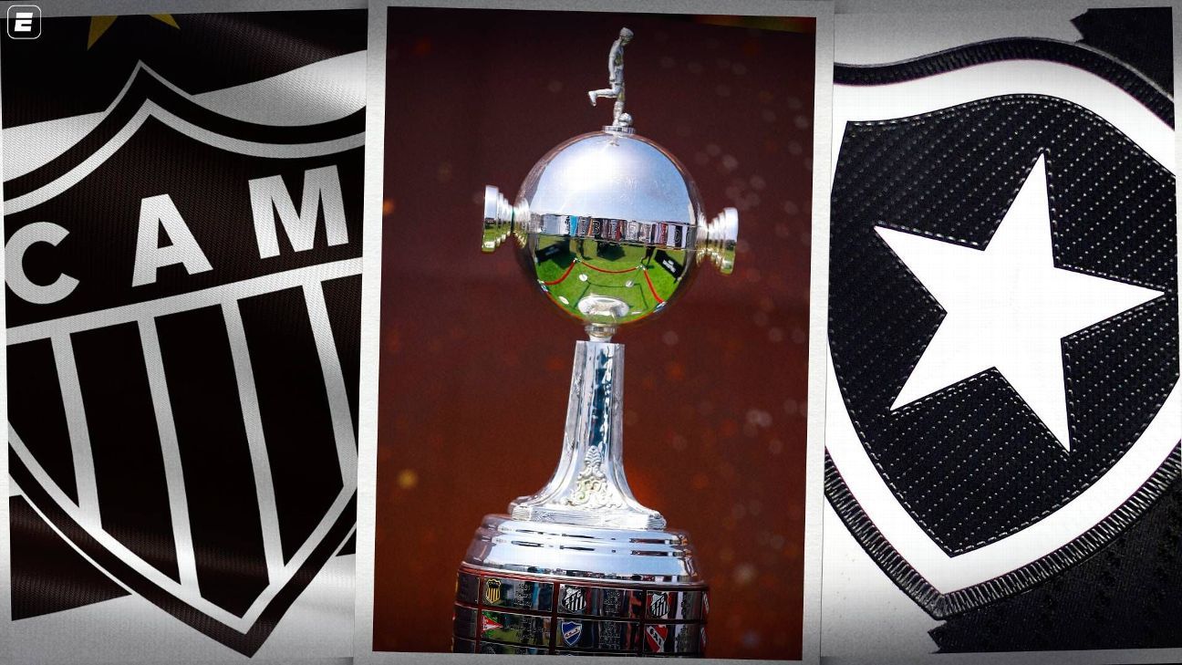 Final da Libertadores entre e Botafogo terá bola especial