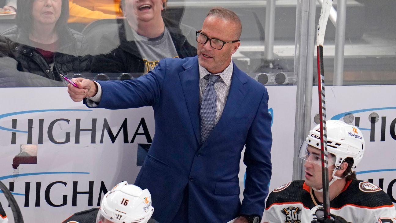 AHL's Wild hire ex-Ducks head coach Cronin