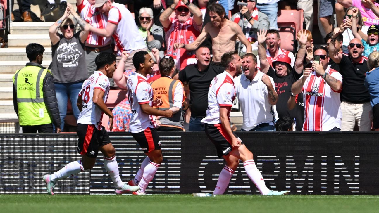 Jack Stephens celebrates Scoring Southampton's winner.