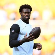 Steelers' DK Metcalf throws punch at fan in Detroit