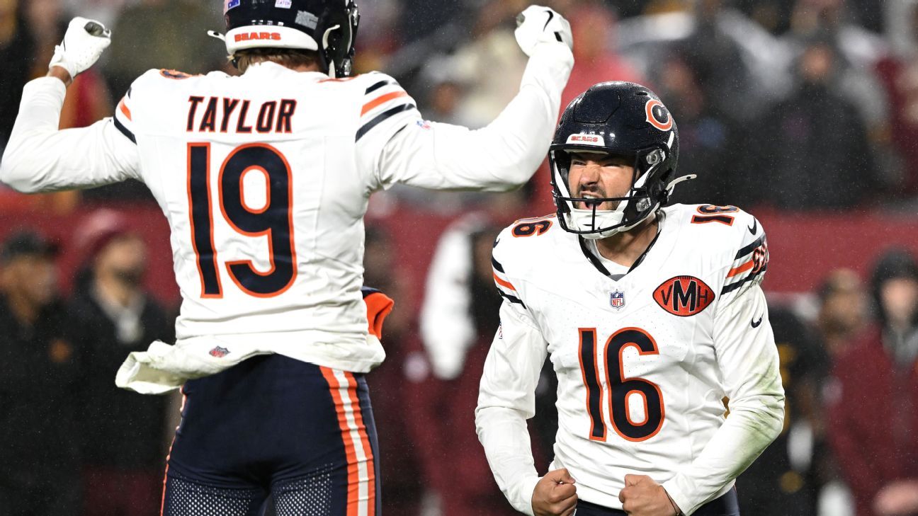 Bears Celebration