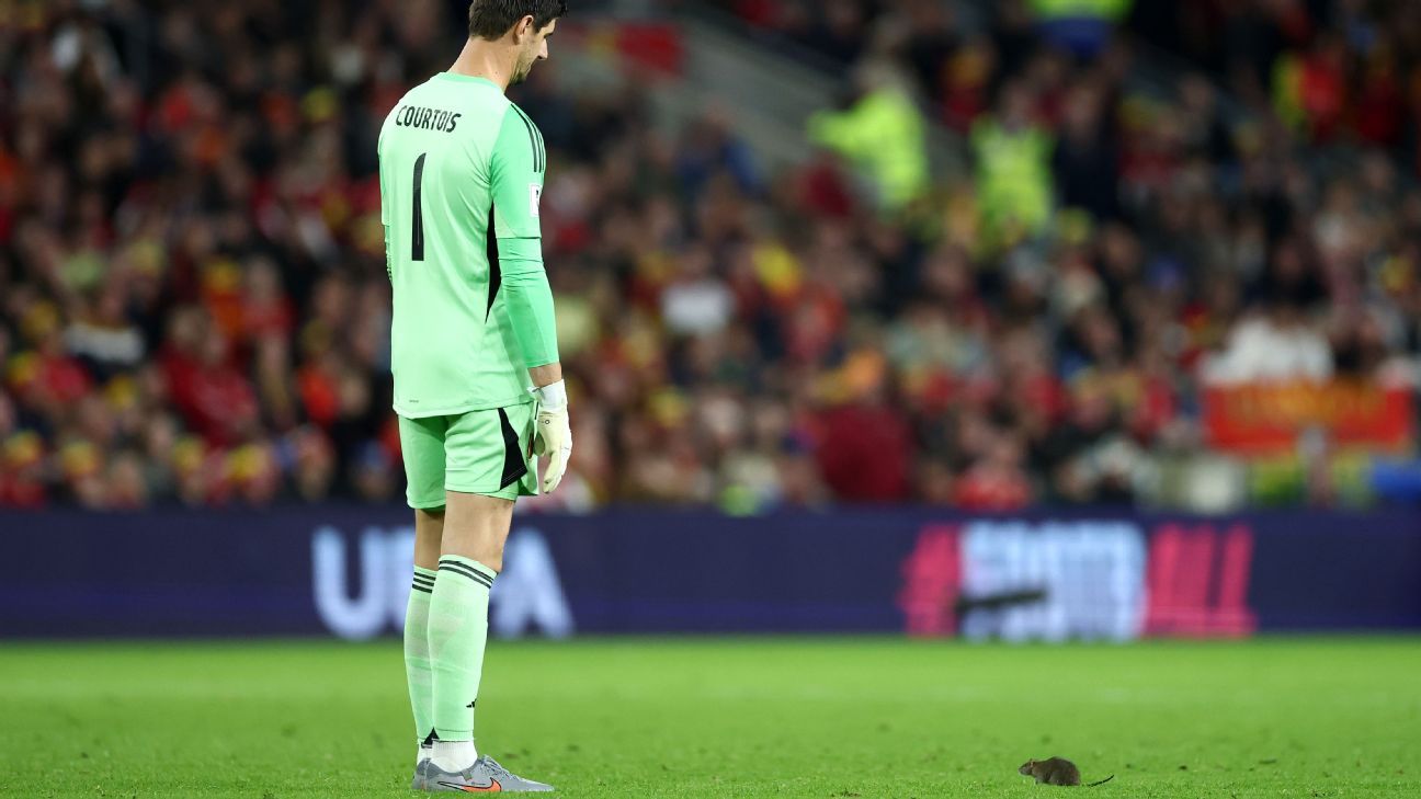 Courtois persigue rata en partido Gales vs. Bélgica: Mundial en juego 2 Courtois persigue rata en partido Gales vs. Bélgica: Mundial en juego