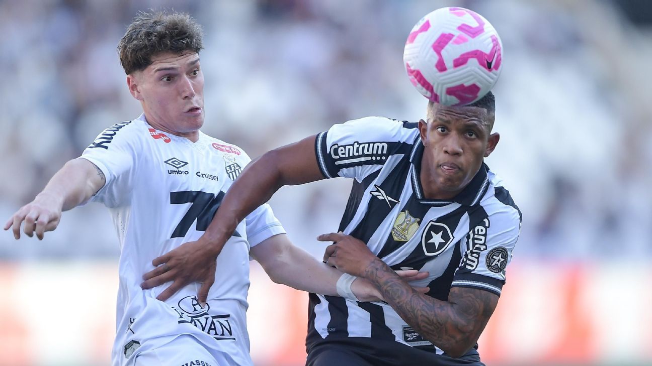 Botafogo faz gol 'relâmpago', mas cede empate ao Santos em jogo movimentado no Brasileirão