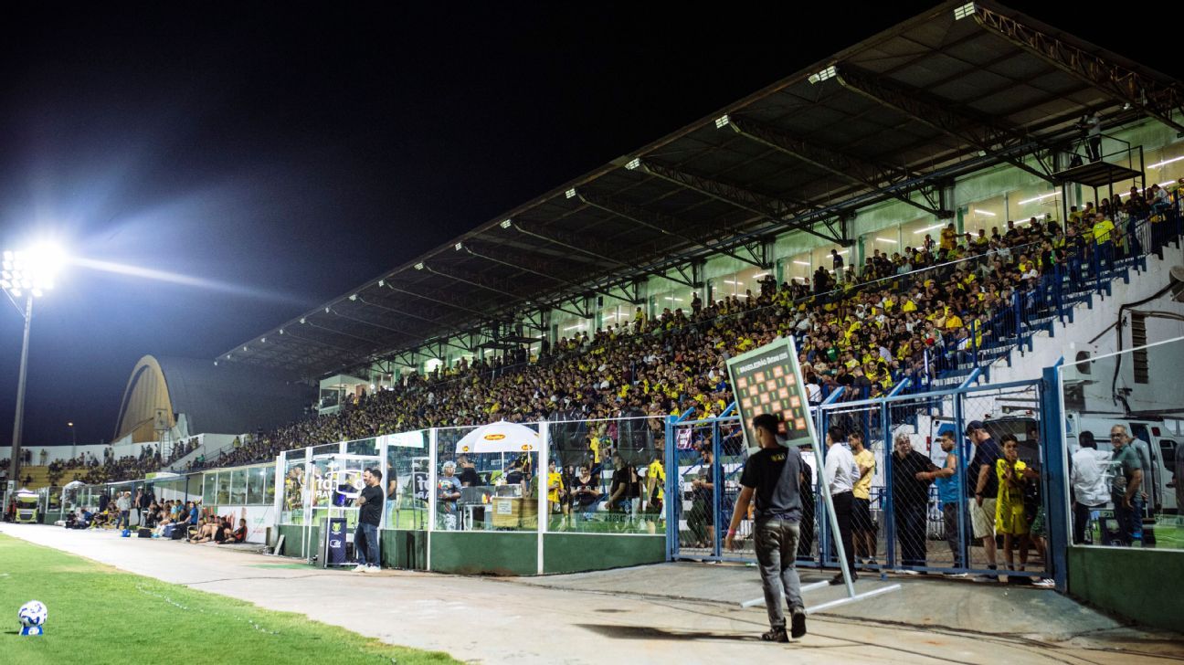 Mirassol desafia o Palmeiras em duelo decisivo do Brasileirão; saiba onde assistir e as escalações!