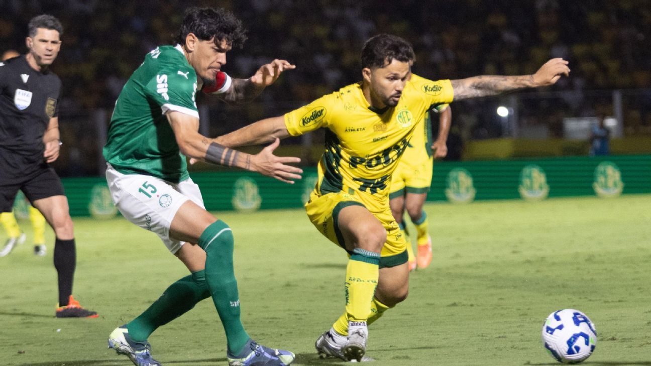 Gómez critica desfalques e desempenho do Palmeiras: 