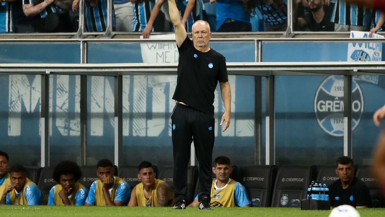 Mano Menezes pede paciência e confiança para competir com Flamengo e Palmeiras