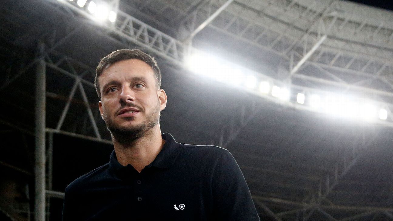 ‘Sem evolução no trabalho’: os motivos que fizeram Botafogo demitir Anselmi e como está busca por substituto