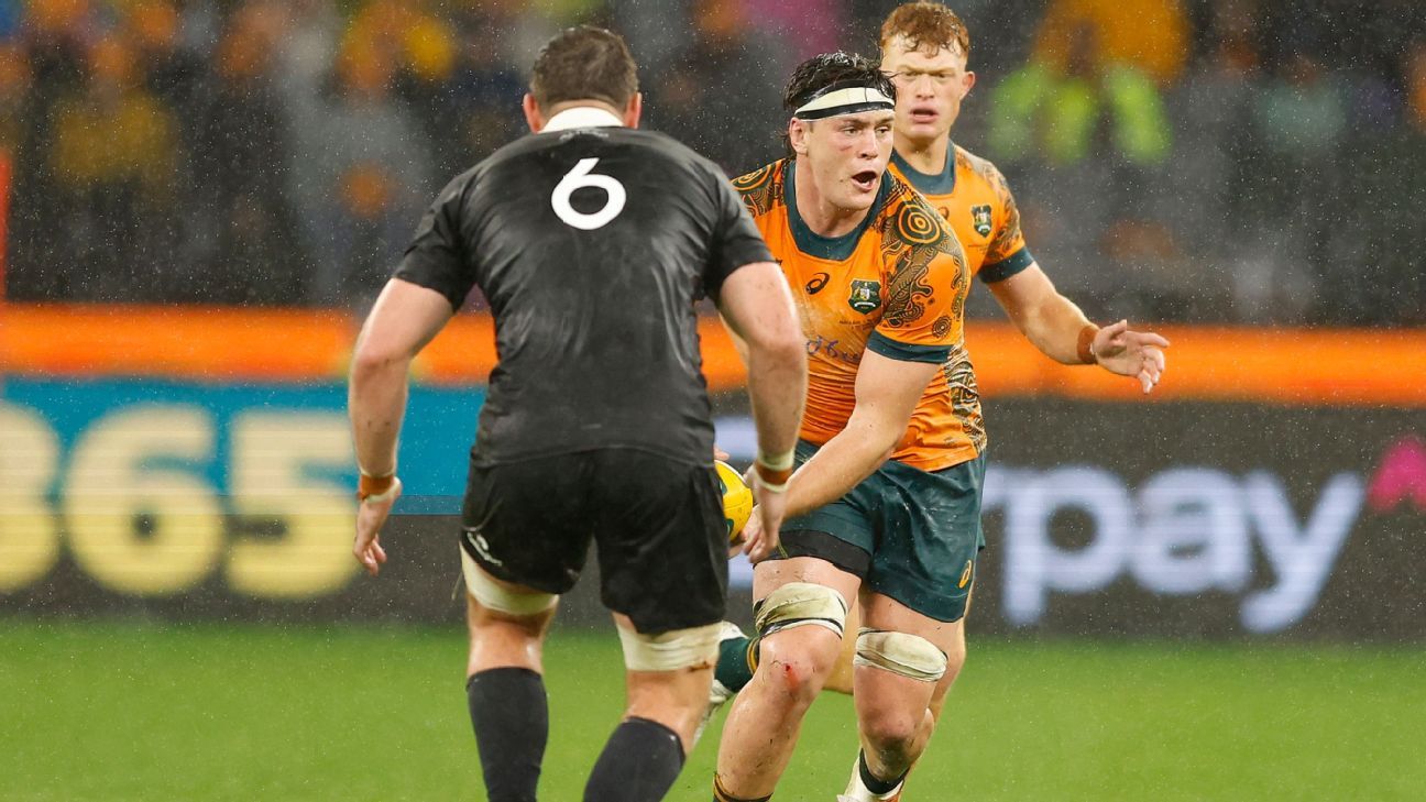 Wallabies to open RWC 2027 against Hong Kong