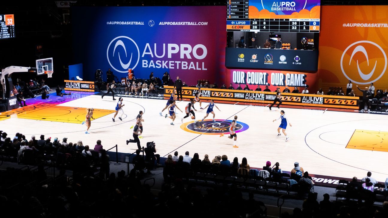 WNBA CBA confidential: 'Hey, think about us'