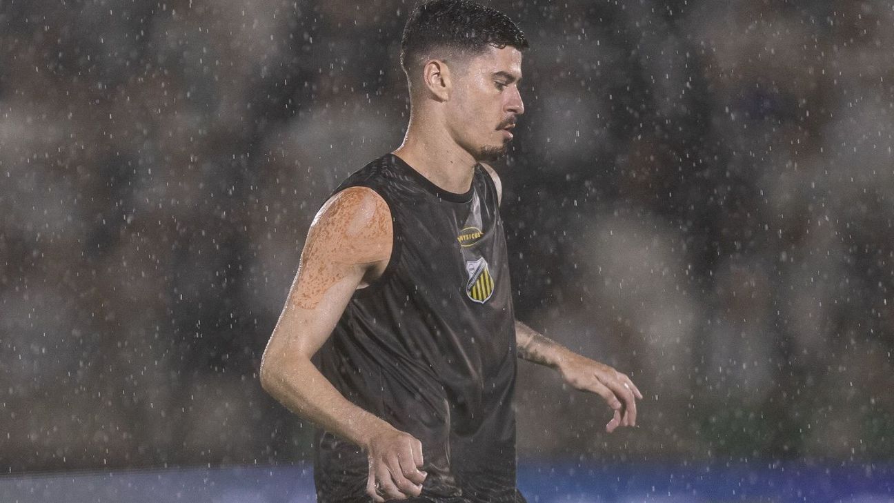 Quando Novorizontino tem que pagar Palmeiras por usar Rômulo na final do Paulistão?