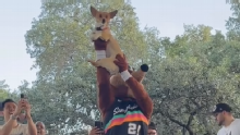 2026 NBA Finals: Air Corgi predicts Spurs in seven games