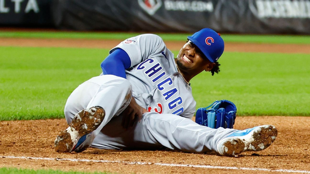 Cubs' Cabrera injures leg, carted off field in N.Y...