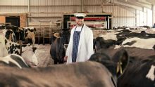 J.J. Watt stars as 'Milk Man' to deliver Burnley's new kit