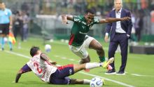 John Arias avisó que recibirán críticas constructivas sobre Palmeiras
