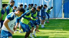Real Oviedo: Jabalíes entran por la noche y destrozan campos